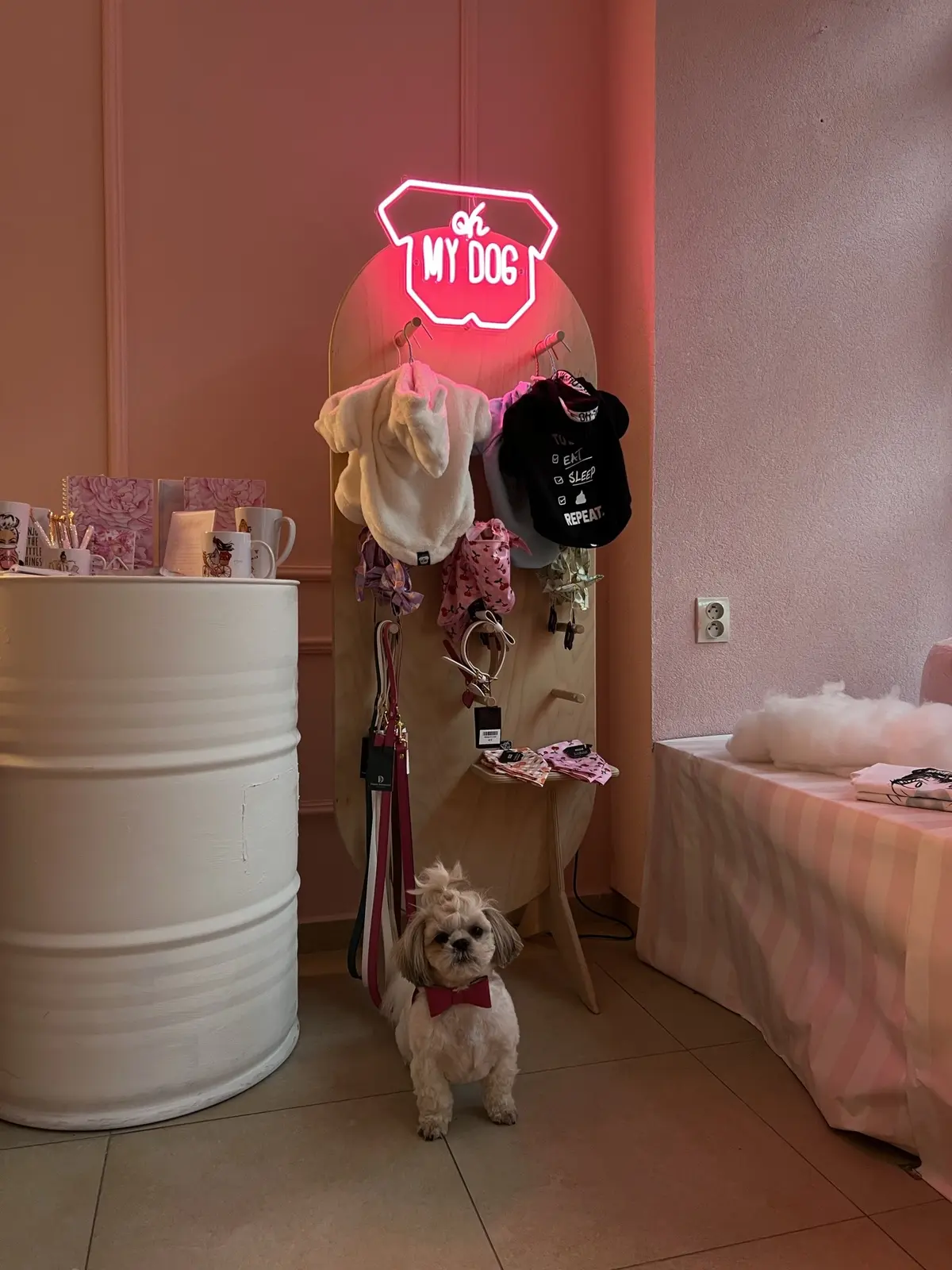 Neón My Dog — realizácia Neonworld