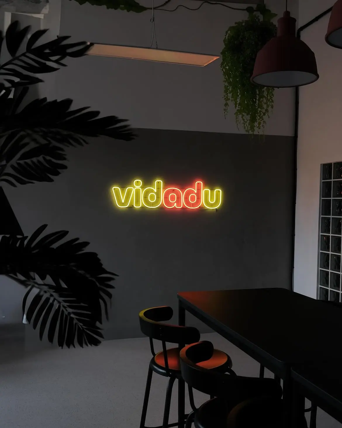 Neón Vidadu — realizácia Neonworld